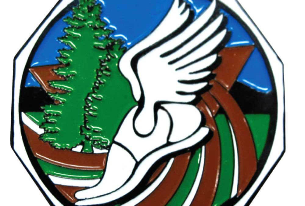 2″ Decagon Colored Medal CROSS COUNTRY