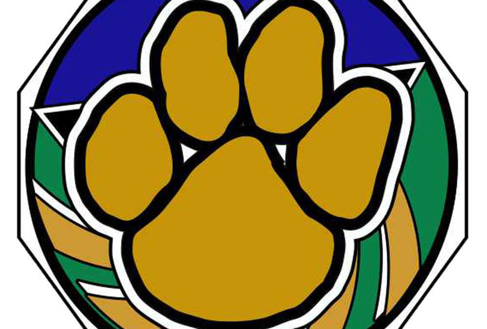 2″ Decagon Colored Medal PAW