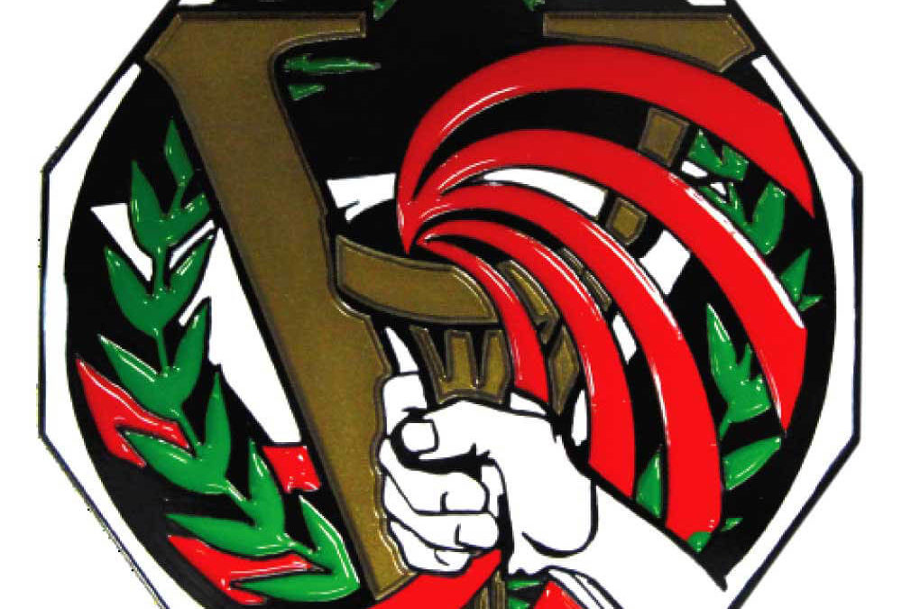 2″ Decagon Colored Medal VICTORY