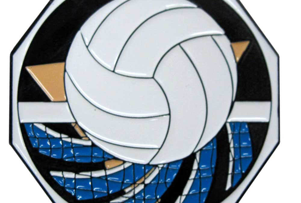 2″ Decagon Colored Medal VOLLEYBALL